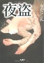 夜盗写真