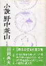 小説野中兼山（下巻）写真
