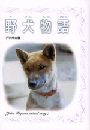 野犬物語写真