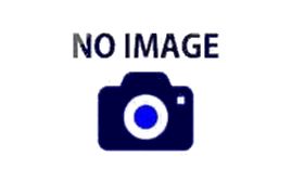 上田早夕里写真